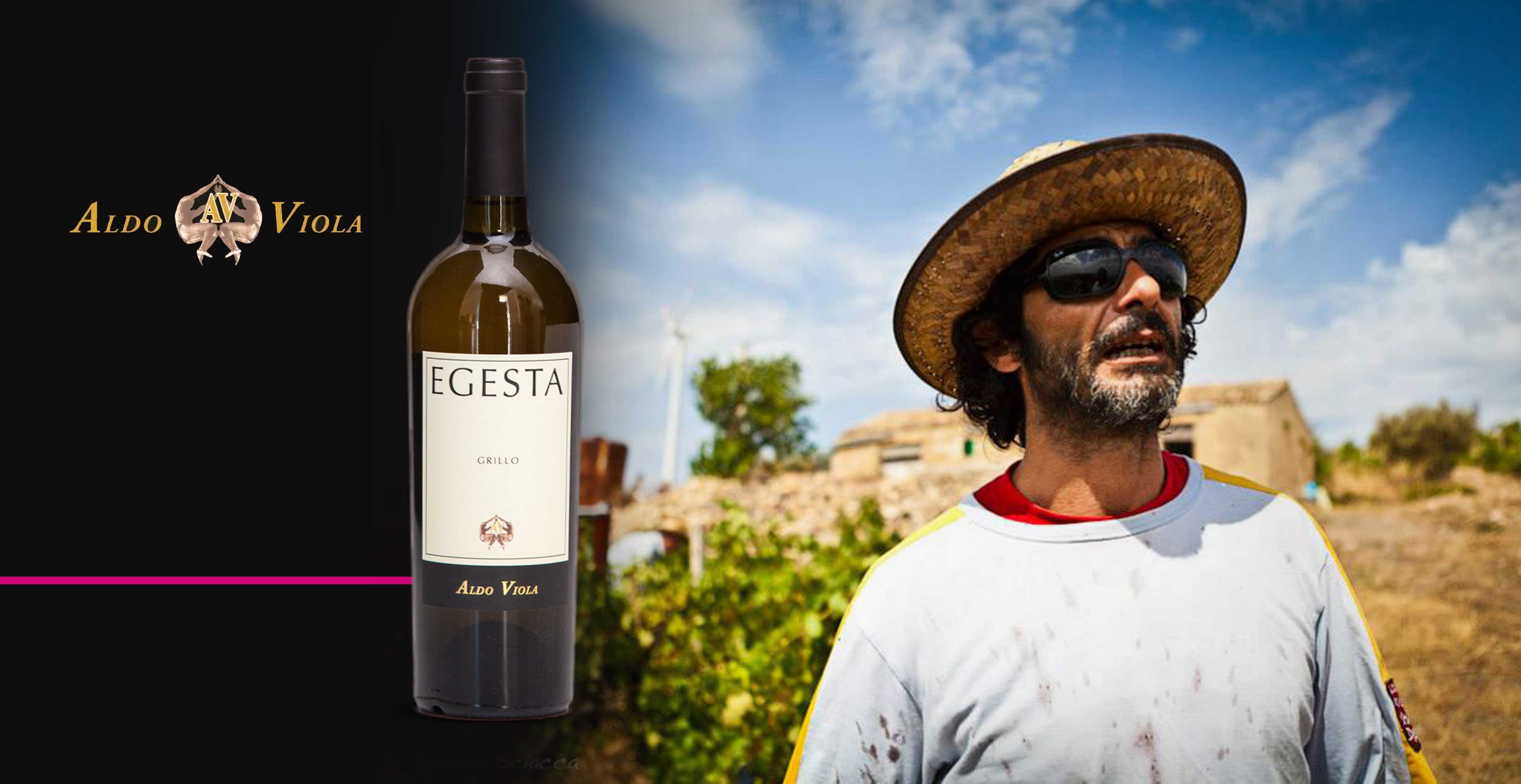 Vin blanc - Aldo Viola - Egesta