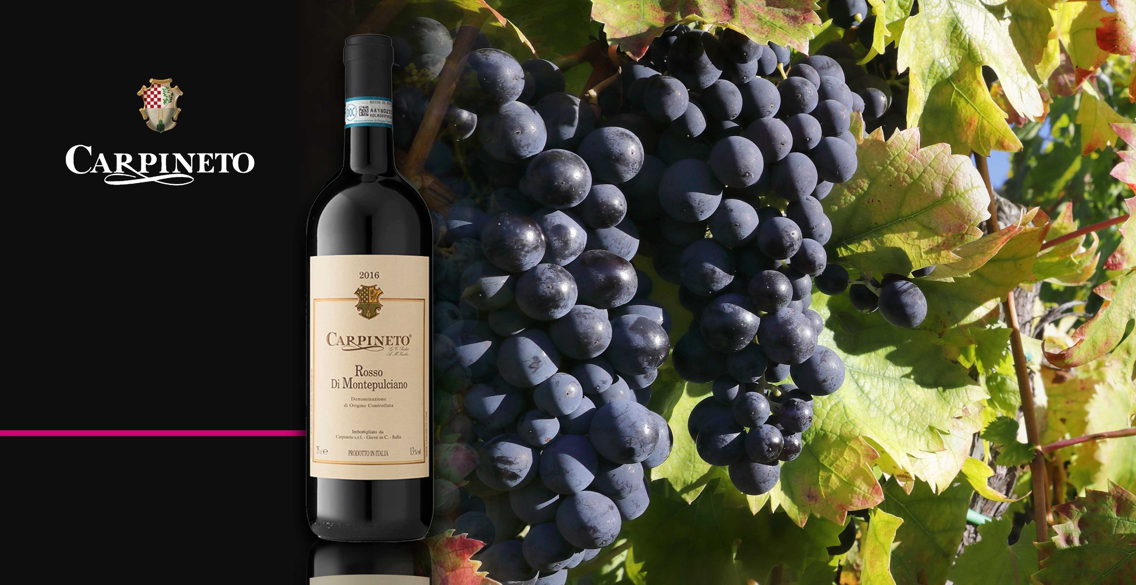 Vin rouge - Carpineto - Rosso di Montepulciano
