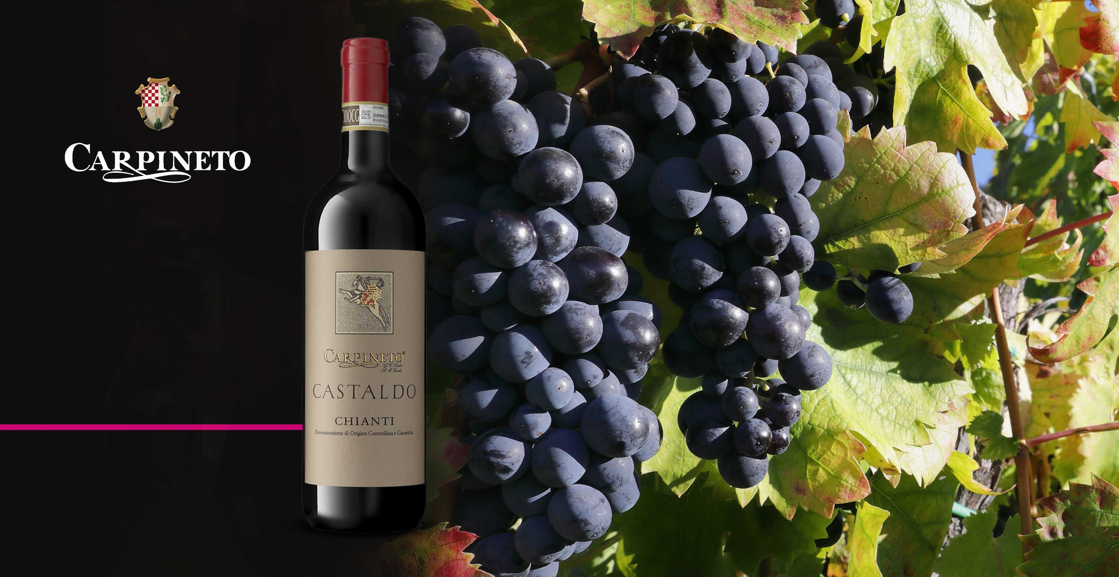 Vin rouge - Carpineto - Chianti Castaldo D.O.C.G.