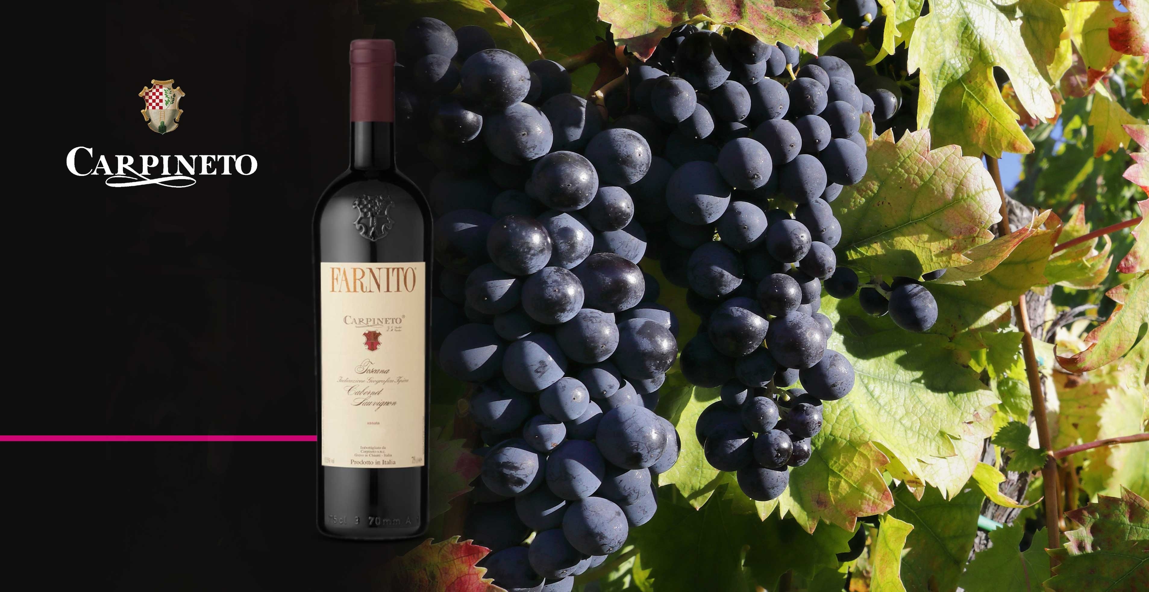 Vin rouge - Carpineto - Farnito