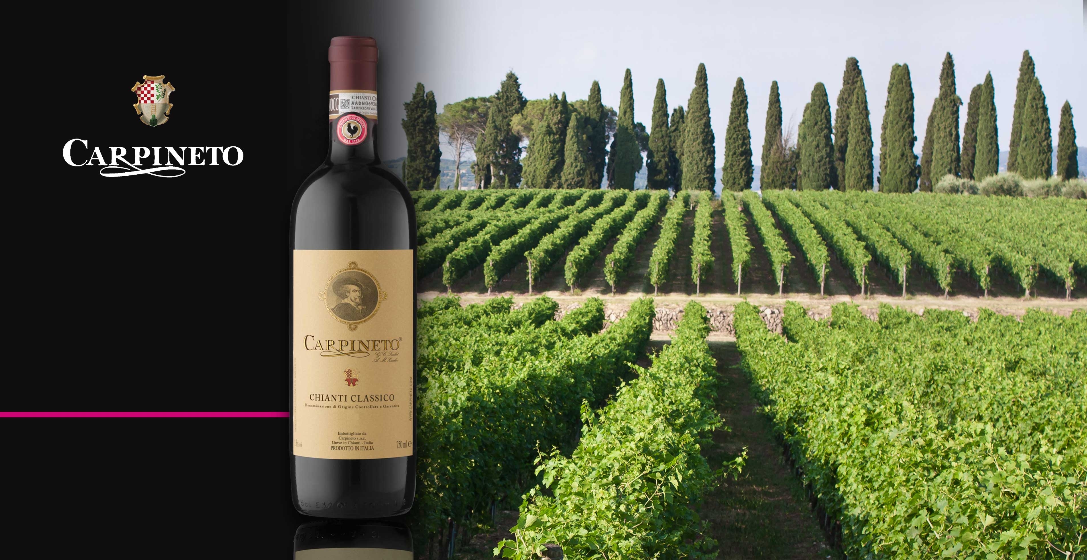 Vin rouge - Carpineto - Chianti Classico 