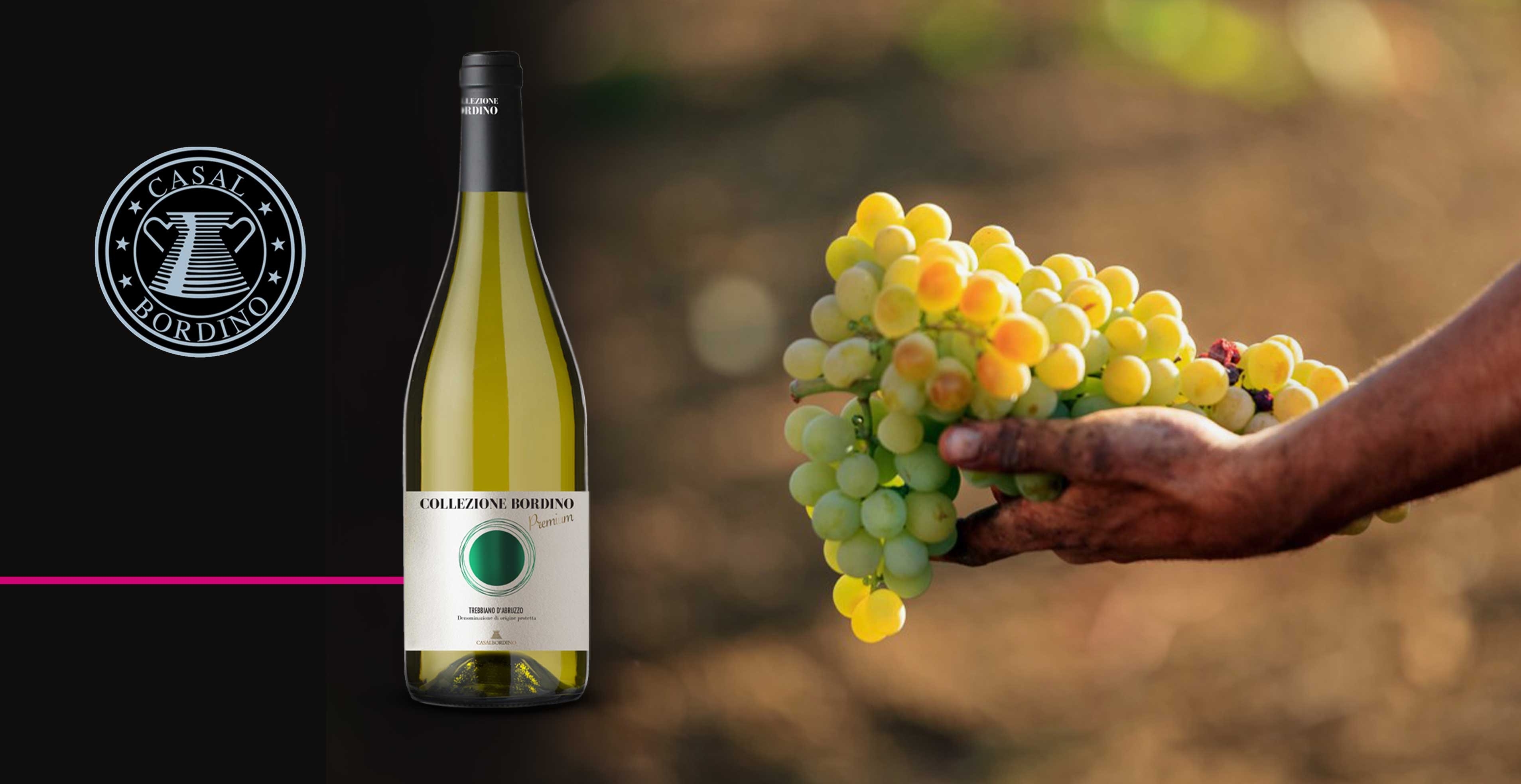 Vin blanc - CasalBordino - Trebbiano d'Abruzzo Premium
