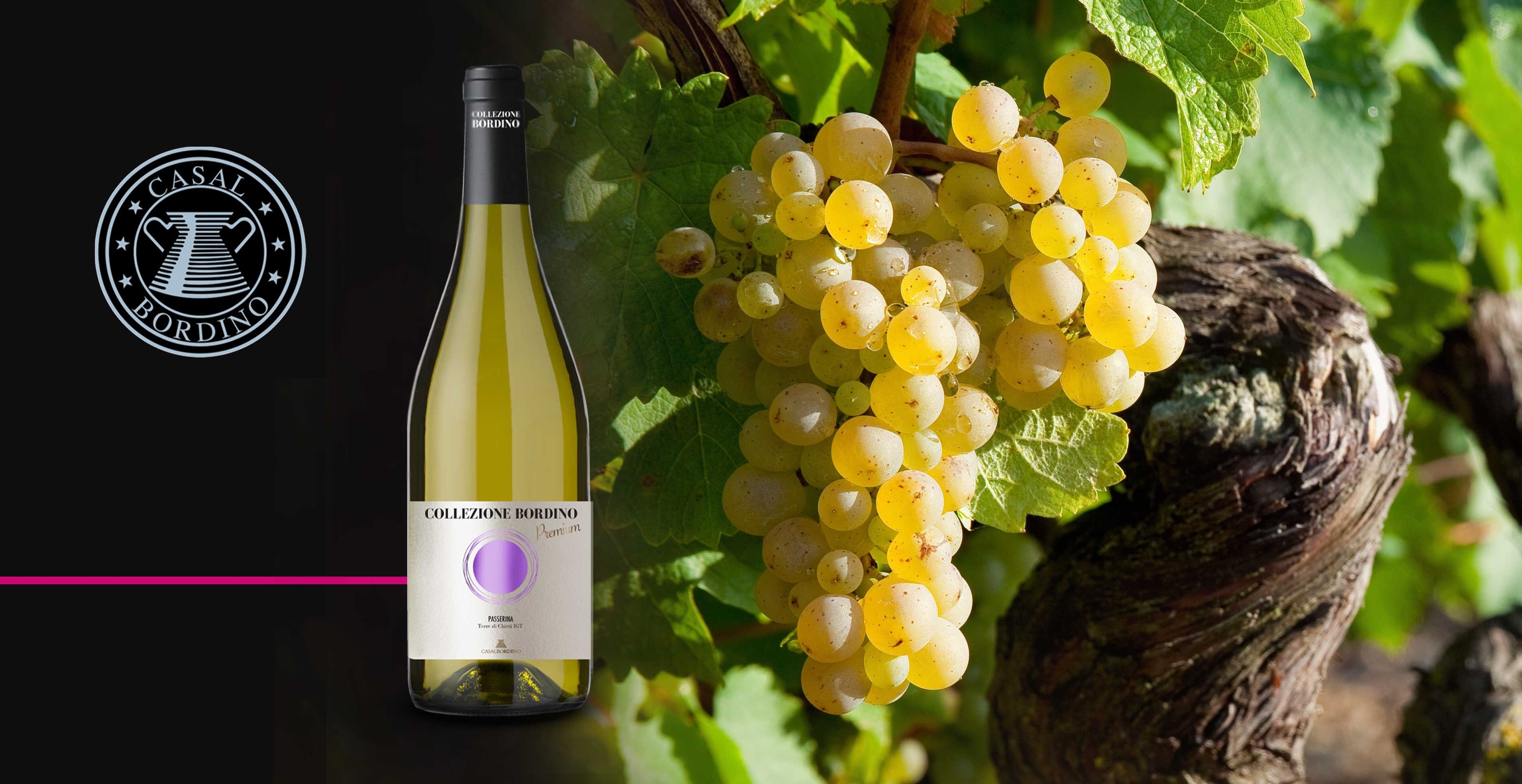 Vin blanc - CasalBordino - Passerina Premium