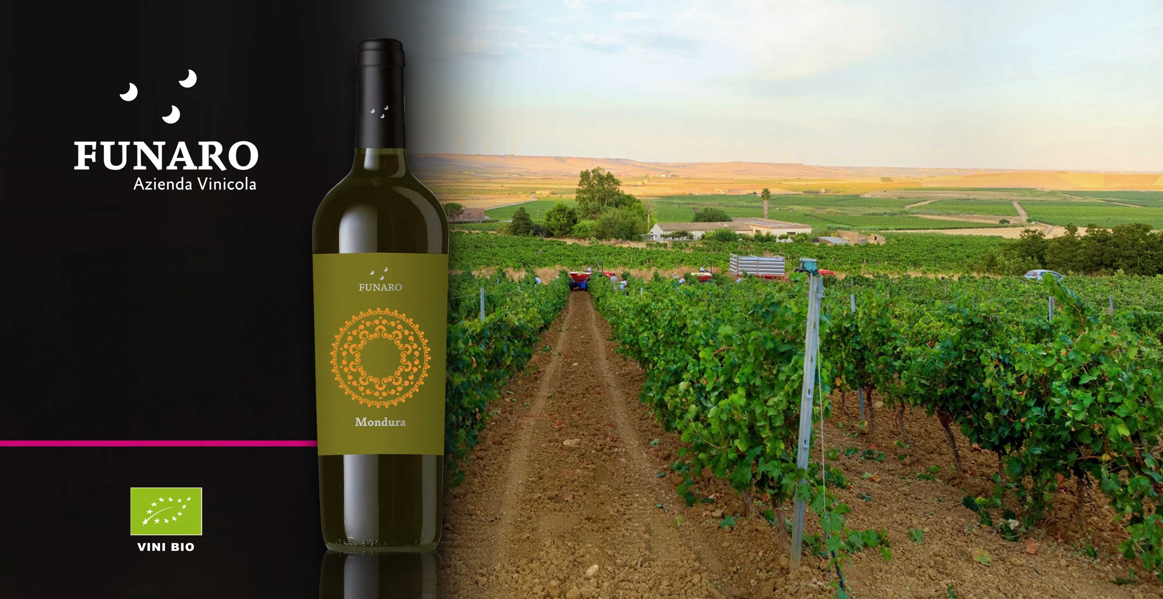 Vin blanc - Funaro - Mondura