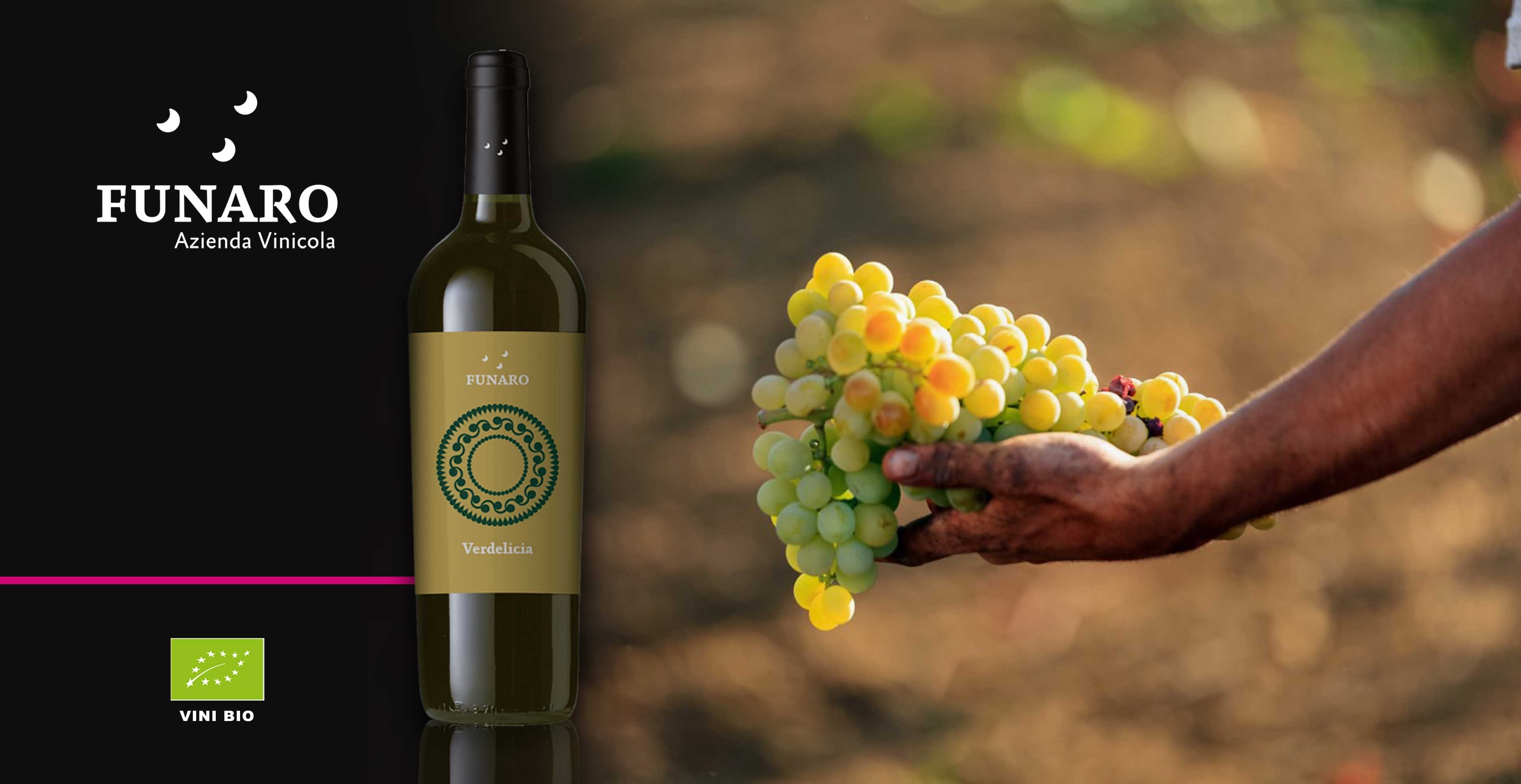 Vin blanc - Funaro - Verdelicia