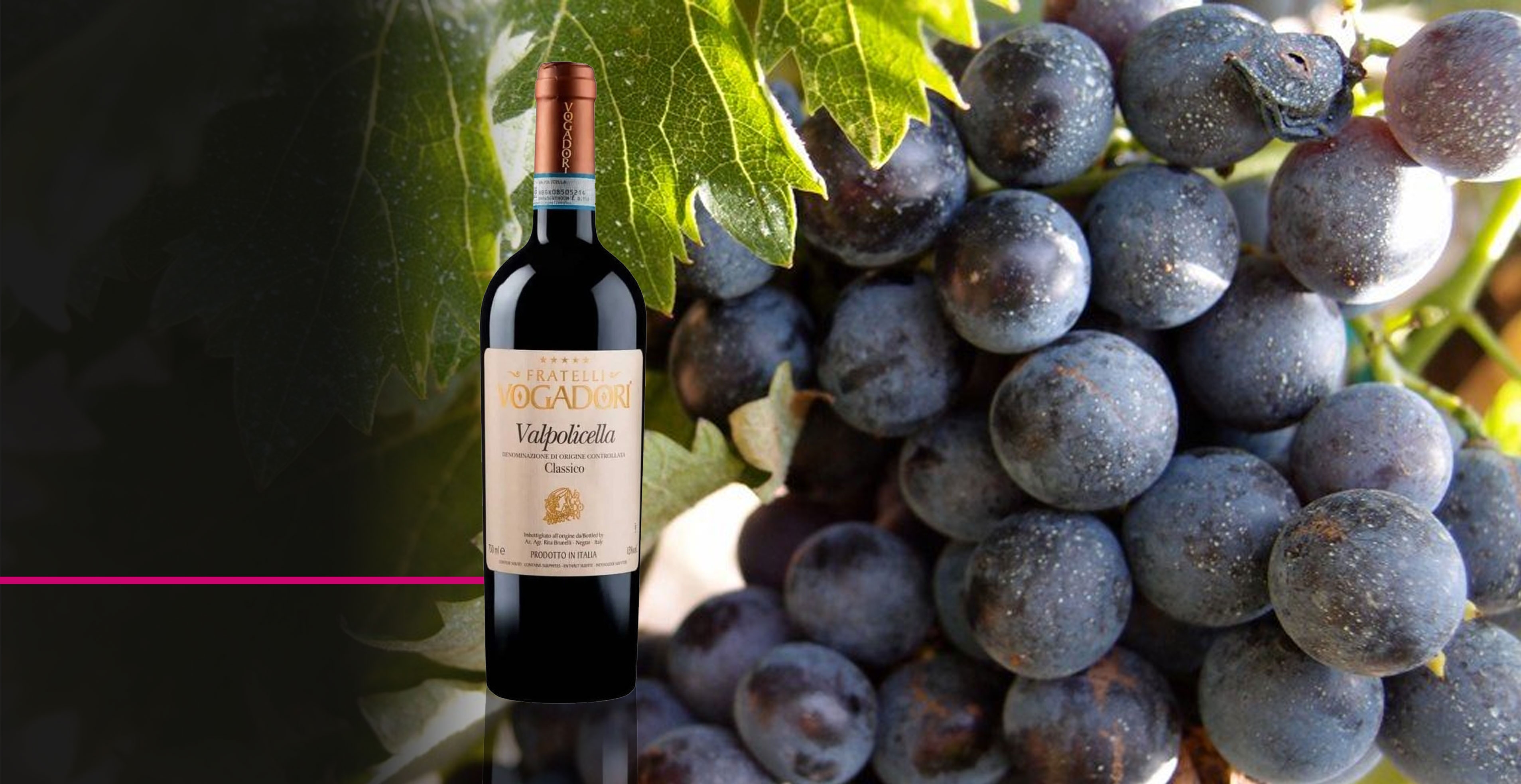 Vin rouge - Fratelli Vogadori - Valpolicella Classico