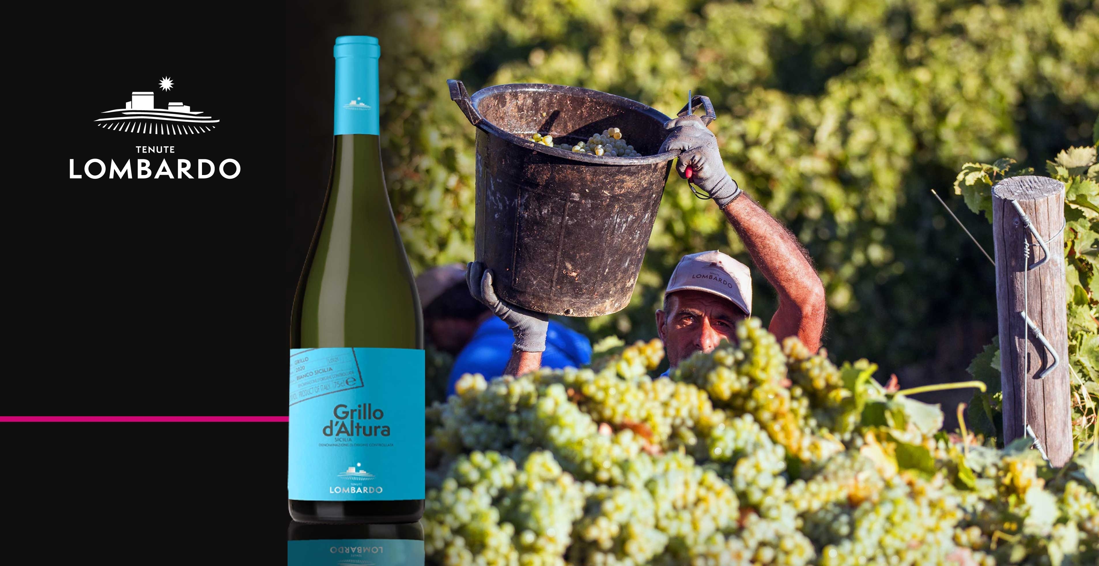 Witte wijn - Lombardo - Grillo d'Altura