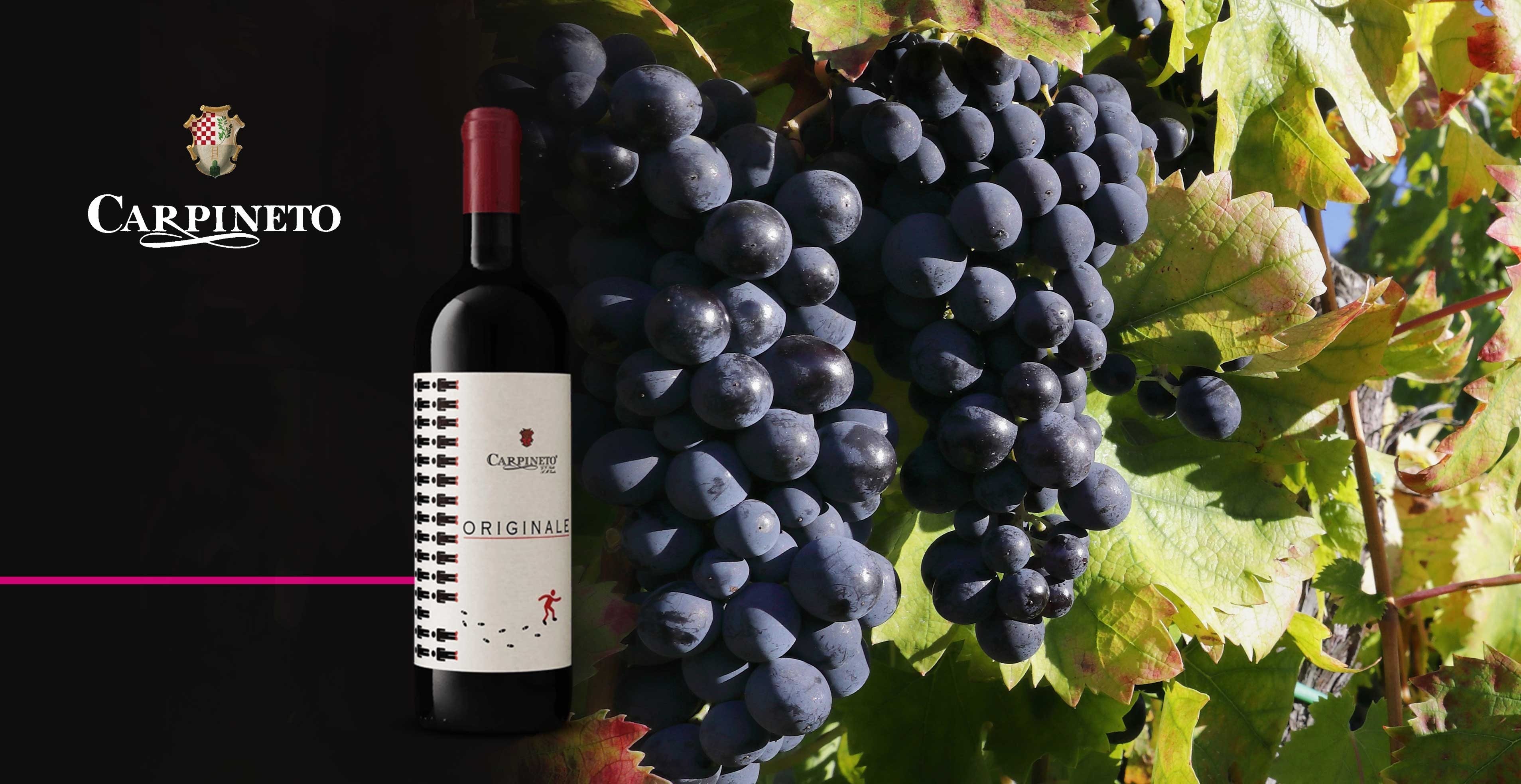 Rode wijn - Carpineto - Originale