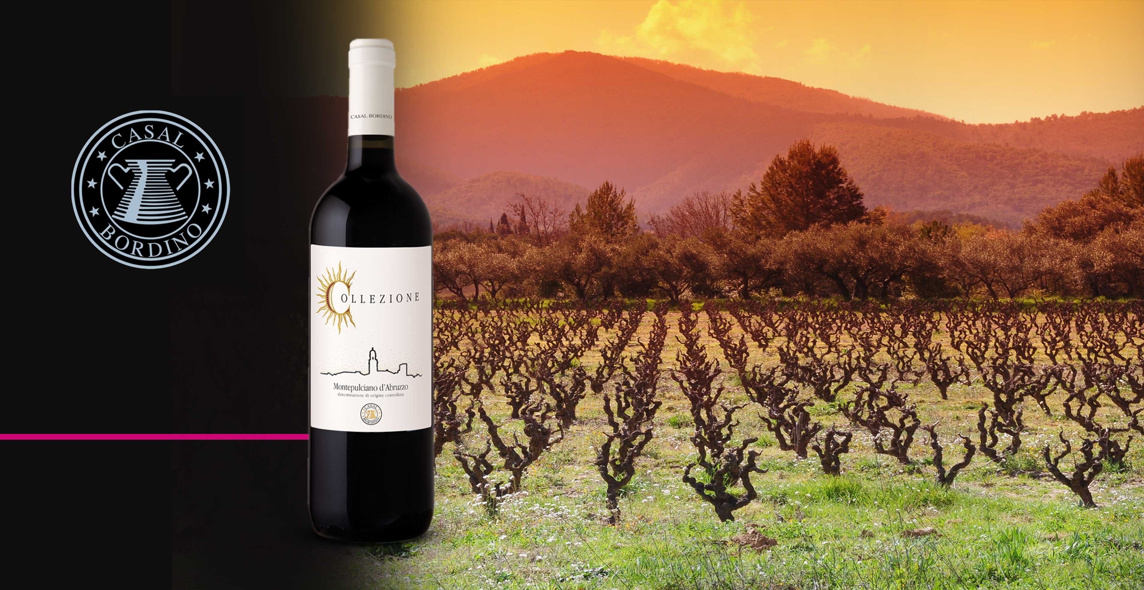 Rode wijn - CasalBordino - Montepulciano d'Abruzzo