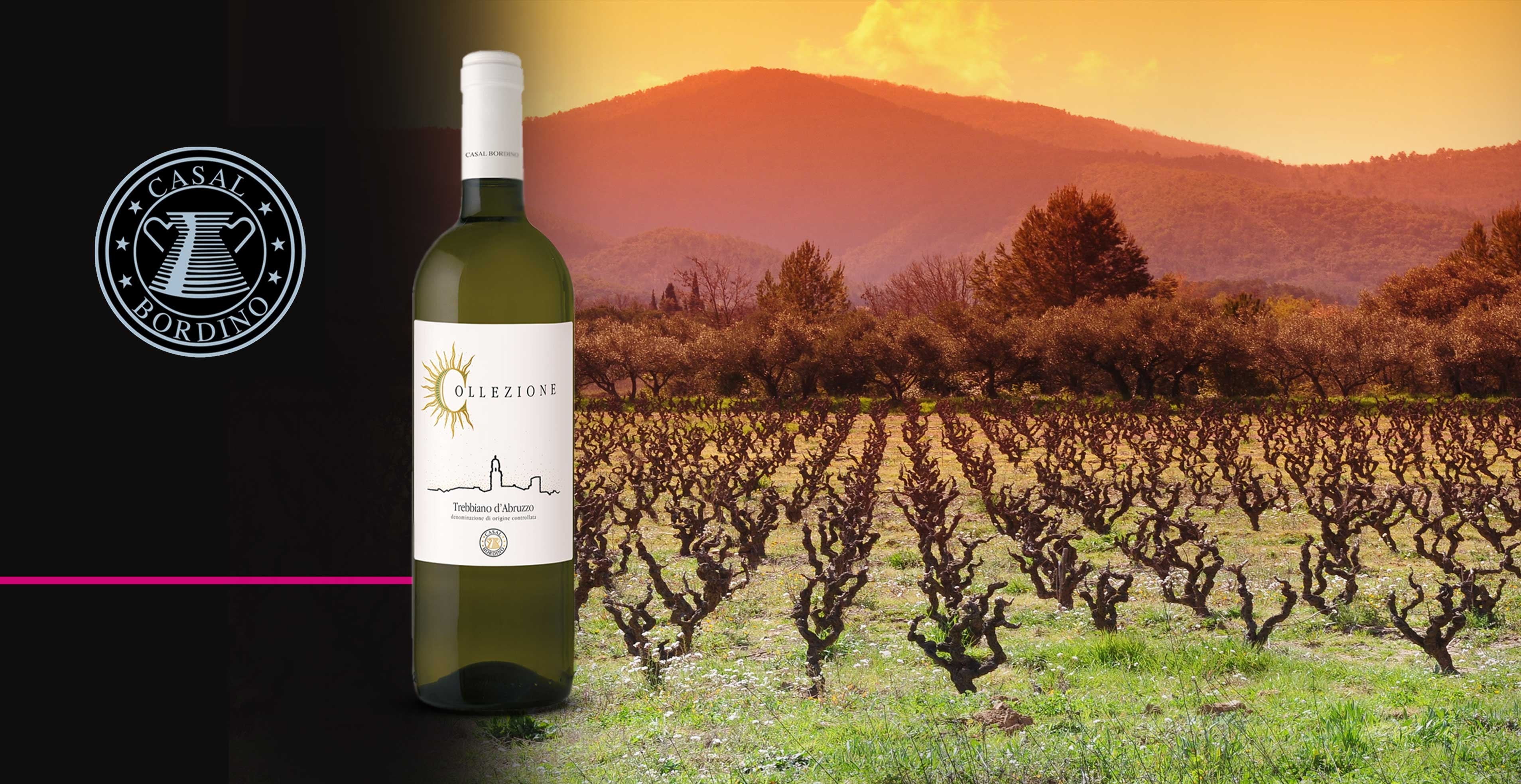 Witte wijn - CasalBordino - Trebbiano d'Abruzzo Magnum