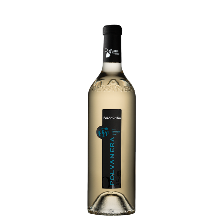 Vin blanc - Polvanera - Falanghina