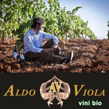 Les vins blancs chez Aldo Viola