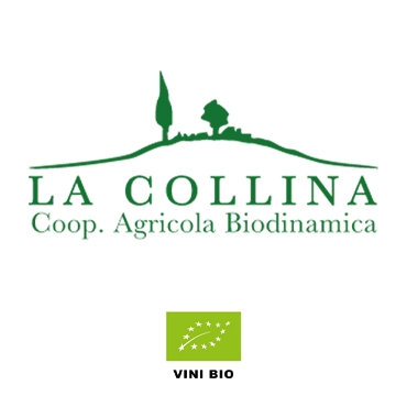 Les vins mousseux chez La Collina